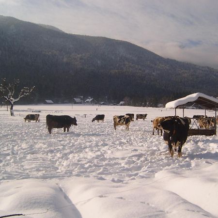 Farmhouse Soklic Bohinj Ngoại thất bức ảnh
