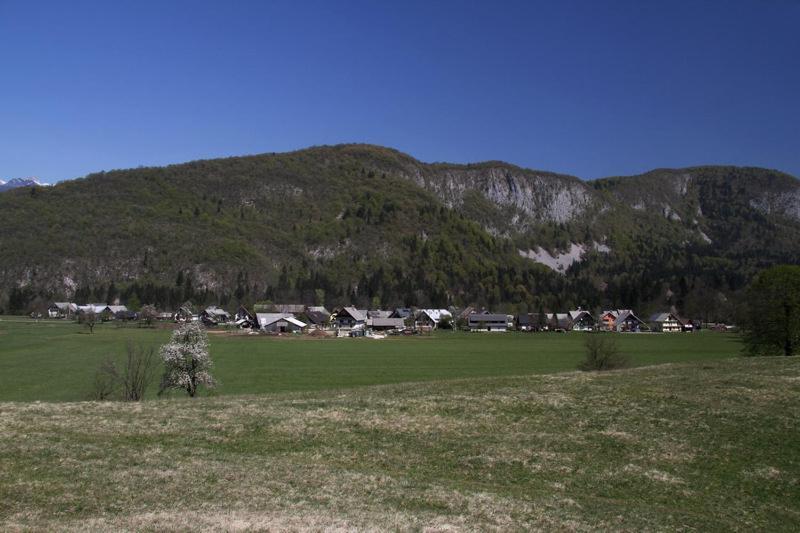 Farmhouse Soklic Bohinj Ngoại thất bức ảnh